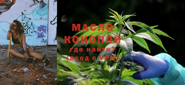 дмт Дмитровск