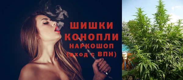 apvp Дмитров