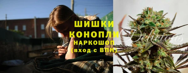 прущая мука Ельня