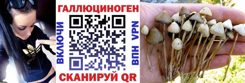 купить наркотик  Кушва  Галлюциногенные грибы мицелий 