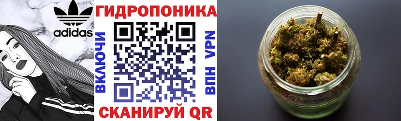 Каннабис ГИДРОПОН  Кушва 